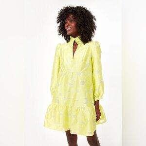 Citron Fil Coupe Palmerston Dress Size XL Worn once